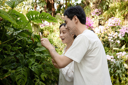 观察记录植物园里认真探讨植物的青年背景