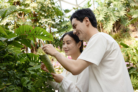 植物园里认真探讨植物的青年背景图片