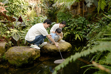 年轻父母陪着小男孩蹲在石头上抓鱼图片素材