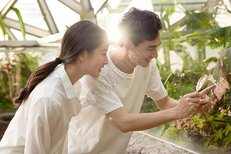 植物园里观察植物的年轻小情侣背景图片