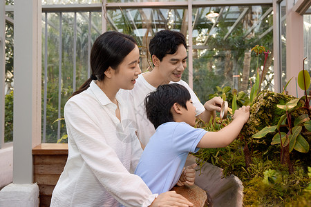 一家三口拿着放大镜观察植物背景图片