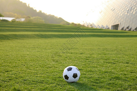 一颗草放在草坪上的一颗足球背景