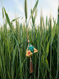 挂在门上的艾叶挂在麦穗上的端午香包背景