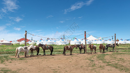 蒙元文化内蒙古夏季草原蒙元建筑旅游背景