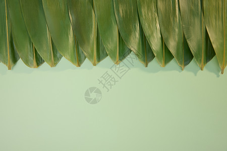 传统餐饮绿色背景下整齐的粽叶背景