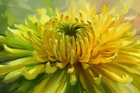 一朵绽放的黄色花朵图片