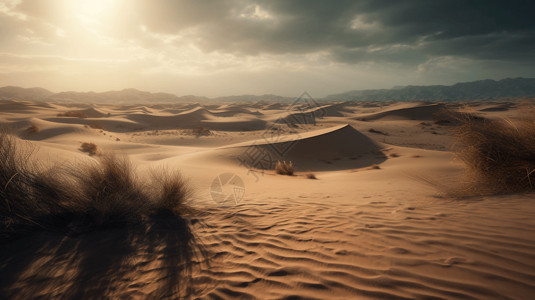 荒漠化沙漠沙丘特写背景