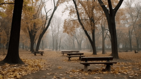 雾气下的城市公园背景图片