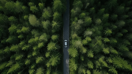 森林里的小路俯瞰在绿色森林里穿梭的车背景