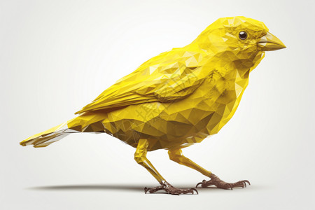 黄色的金丝雀小鸟图片