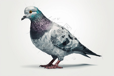3D鸽子设计图背景图片