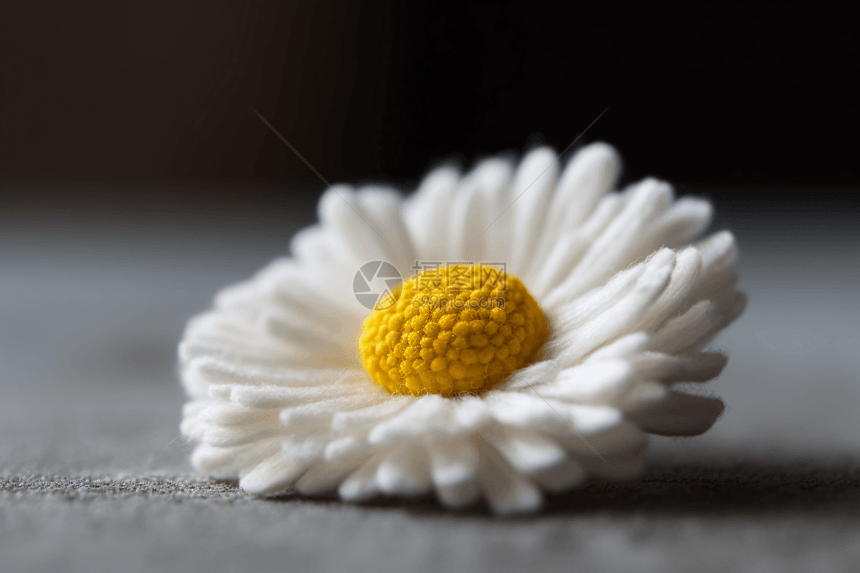 一朵羊毛毡菊花图片