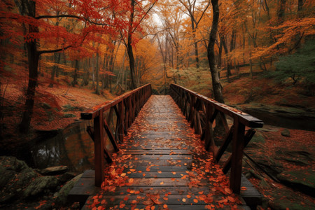 秋天风景中的一座桥图片