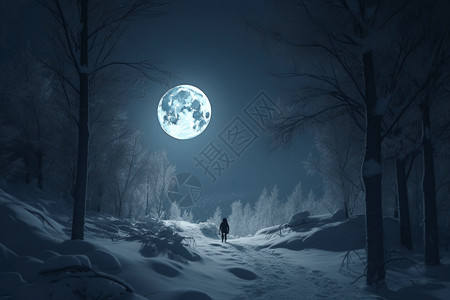 月光下的白雪森林图片