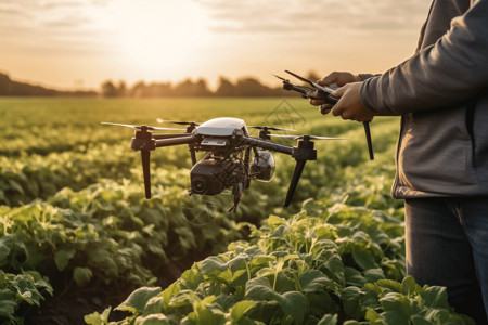 操作无人机检测农业生产背景图片