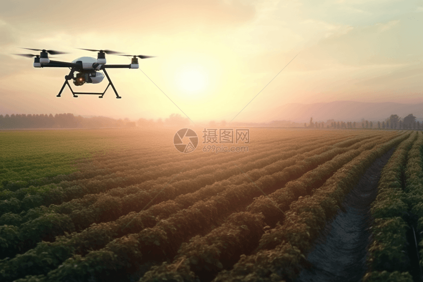无人机高空检测农作物图片