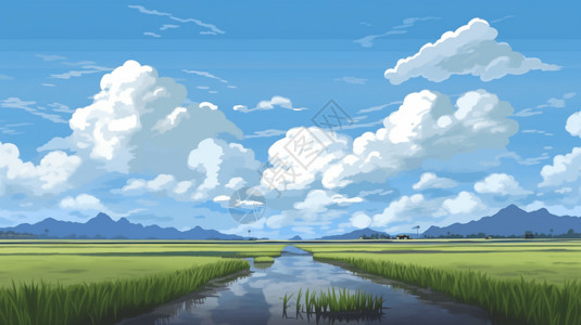 稻田里的美景图片