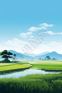 宁静的乡村稻田图片