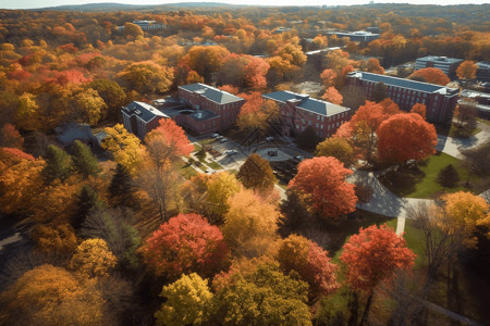 秋天的校园背景图片