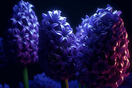 紫色的风信子3D插画背景图片