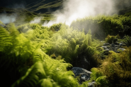 热气升腾冒着热气的绿色植物背景