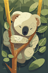 可爱的树袋熊图片