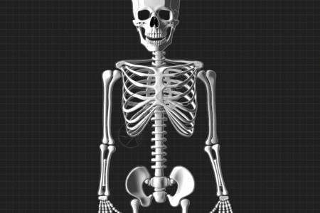 人体骨骼背景图片