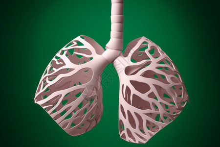 肺部剖析图背景图片