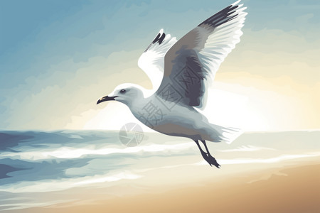 海鸥的插图图片