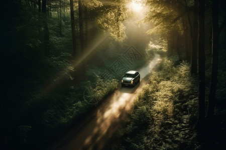 树林里的汽车图片