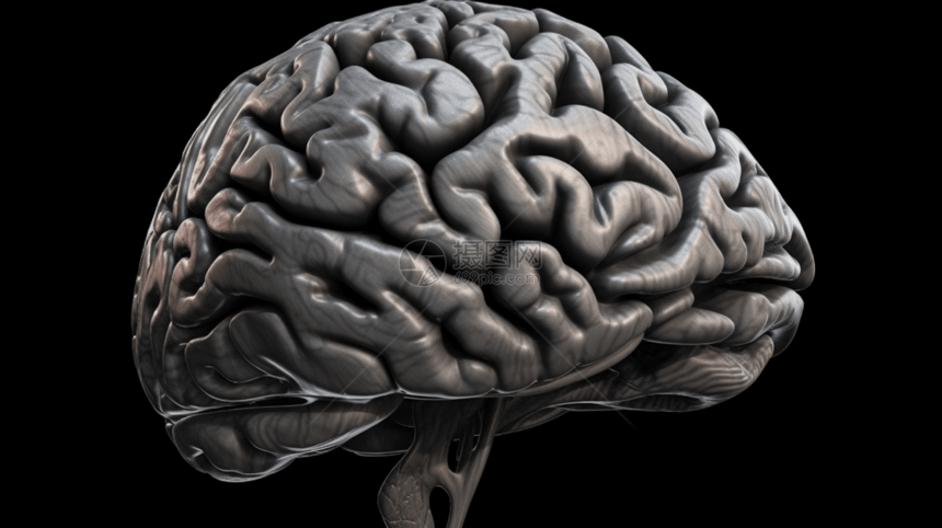 人类大脑概念图图片