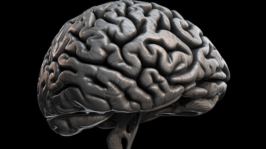 人类大脑概念图背景图片