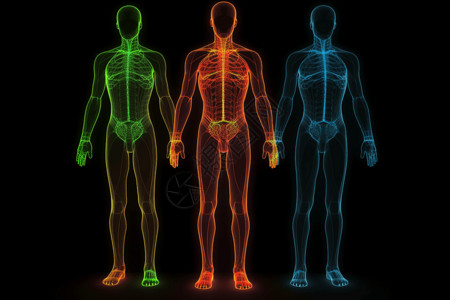 人体经络的透视插图背景图片