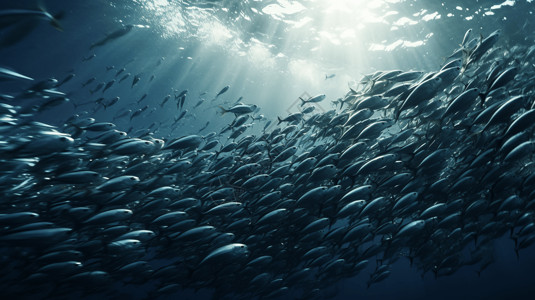 鱼群在海洋中游泳特写高清图片