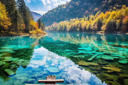 壮观的山林湖泊图片