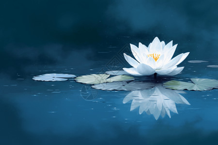 白色的莲花色湖上的白色莲花设计图片