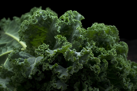 新鲜营养的蔬菜图片