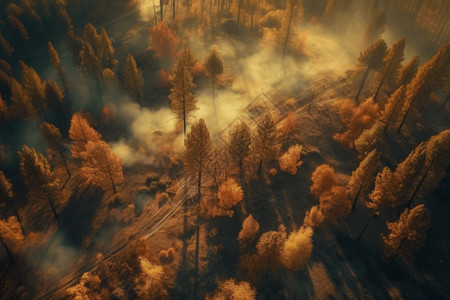 森林燃烧后的烟雾背景图片