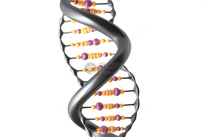 dna螺旋链3D概念图图片