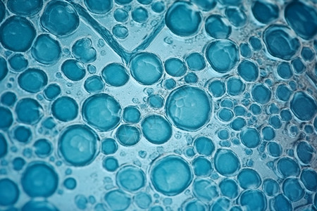 植物细胞蓝色干细胞设计图片