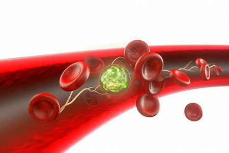 消除血管里的胆固醇和血红细胞设计图片