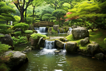 日式园林花园与水流图片