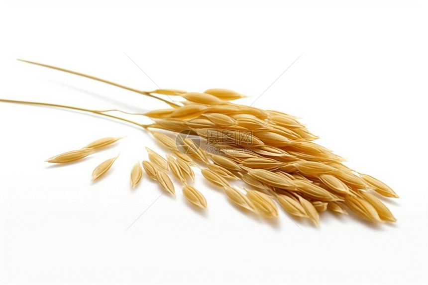 有机米粮食作物图片