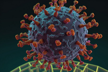 病菌细胞模型图片