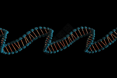 3d动画dna字符串黑色背景图片