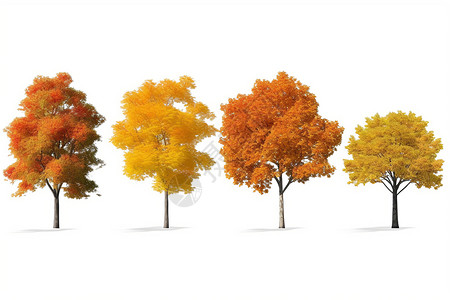 秋天的树木背景图片