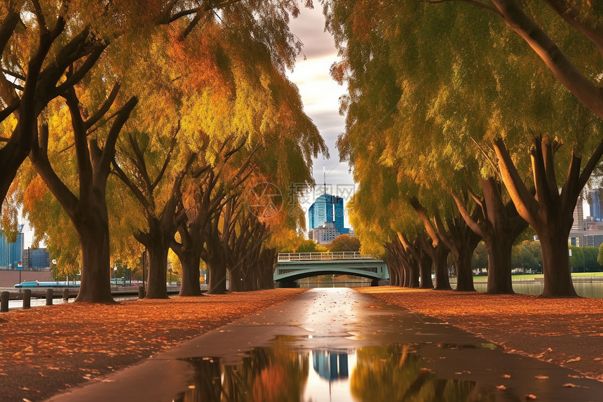 城市秋天景观图片