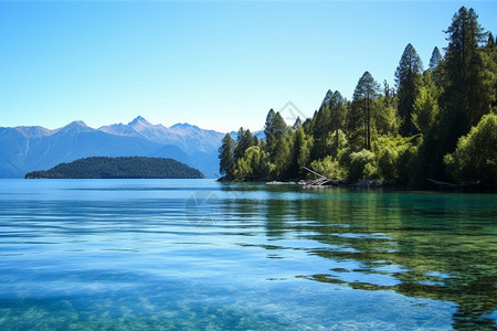 美丽的自然湖景图片
