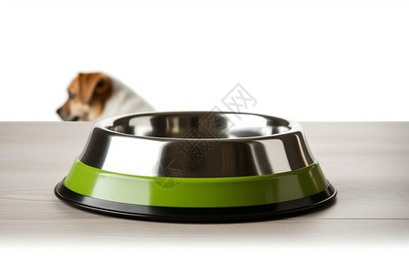 宠物食盆按钮小狗和他的食盆背景