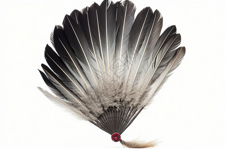 黑白羽毛扇羽毛扇子素材高清图片